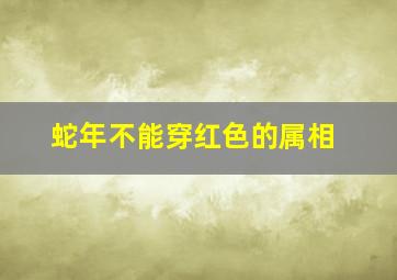 蛇年不能穿红色的属相