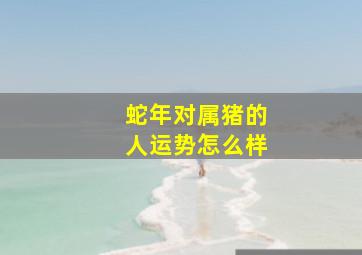 蛇年对属猪的人运势怎么样