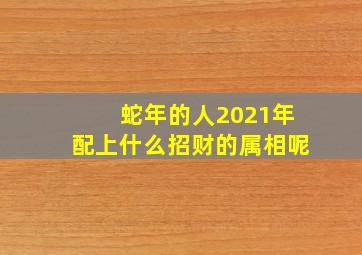 蛇年的人2021年配上什么招财的属相呢