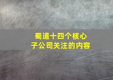 蜀道十四个核心子公司关注的内容