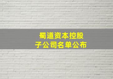 蜀道资本控股子公司名单公布