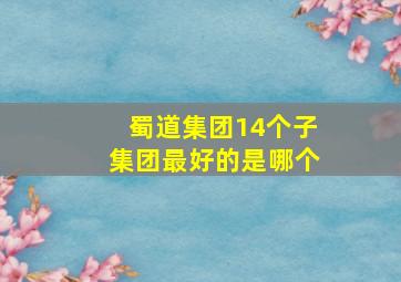 蜀道集团14个子集团最好的是哪个