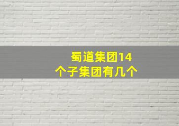 蜀道集团14个子集团有几个