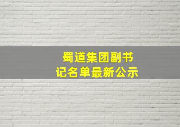 蜀道集团副书记名单最新公示