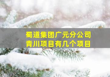 蜀道集团广元分公司青川项目有几个项目