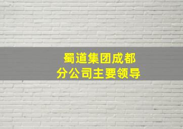 蜀道集团成都分公司主要领导