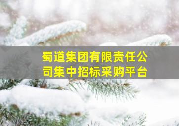 蜀道集团有限责任公司集中招标采购平台