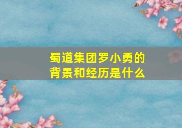 蜀道集团罗小勇的背景和经历是什么