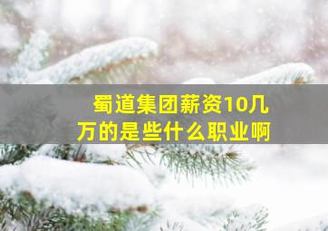 蜀道集团薪资10几万的是些什么职业啊