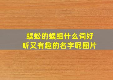 蜈蚣的蜈组什么词好听又有趣的名字呢图片