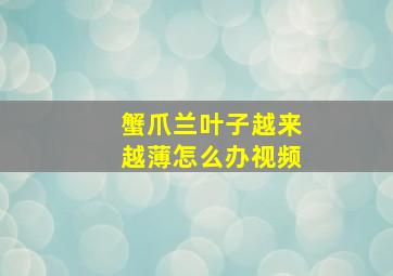 蟹爪兰叶子越来越薄怎么办视频