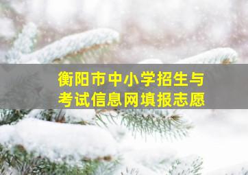 衡阳市中小学招生与考试信息网填报志愿