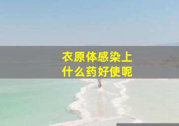 衣原体感染上什么药好使呢