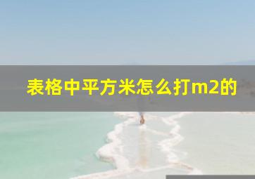 表格中平方米怎么打m2的