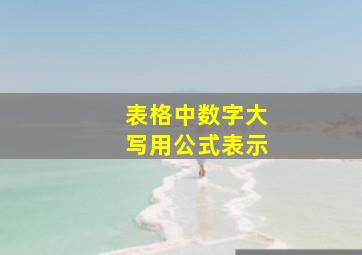 表格中数字大写用公式表示