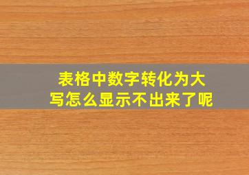 表格中数字转化为大写怎么显示不出来了呢