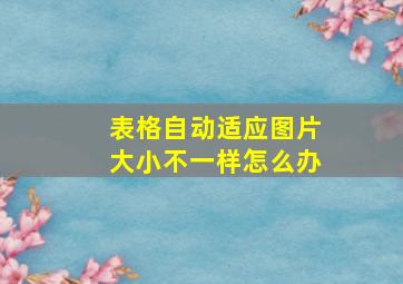 表格自动适应图片大小不一样怎么办