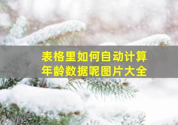 表格里如何自动计算年龄数据呢图片大全