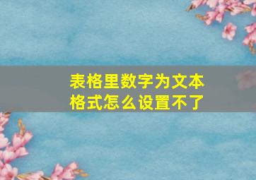 表格里数字为文本格式怎么设置不了