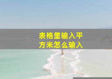 表格里输入平方米怎么输入