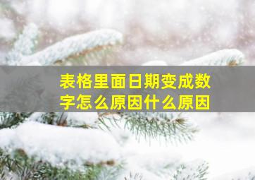 表格里面日期变成数字怎么原因什么原因