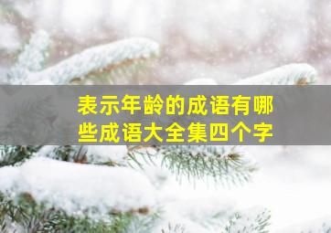 表示年龄的成语有哪些成语大全集四个字