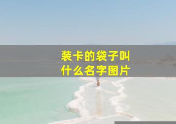 装卡的袋子叫什么名字图片