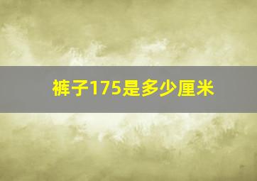 裤子175是多少厘米