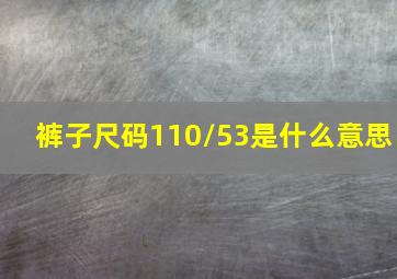 裤子尺码110/53是什么意思