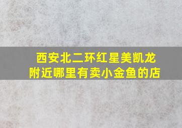 西安北二环红星美凯龙附近哪里有卖小金鱼的店