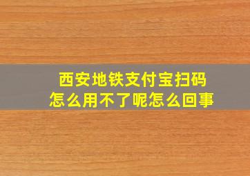 西安地铁支付宝扫码怎么用不了呢怎么回事