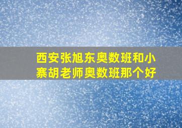 西安张旭东奥数班和小寨胡老师奥数班那个好