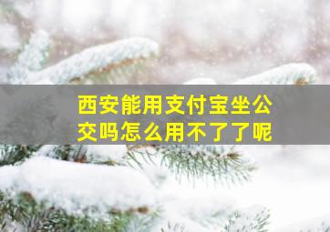 西安能用支付宝坐公交吗怎么用不了了呢