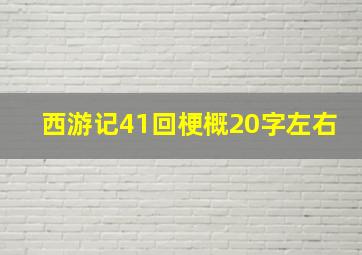 西游记41回梗概20字左右