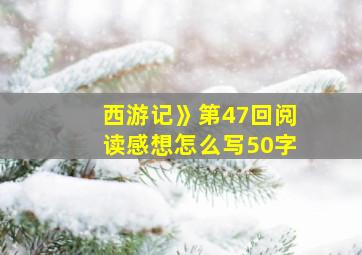 西游记》第47回阅读感想怎么写50字