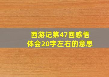 西游记第47回感悟体会20字左右的意思