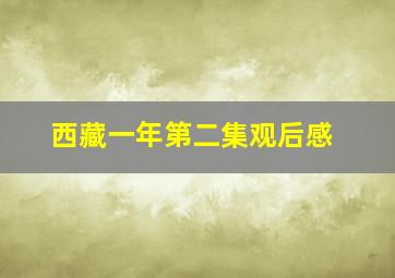 西藏一年第二集观后感