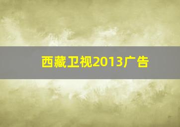 西藏卫视2013广告