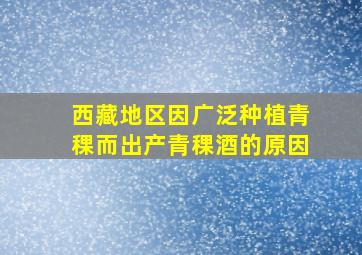 西藏地区因广泛种植青稞而出产青稞酒的原因