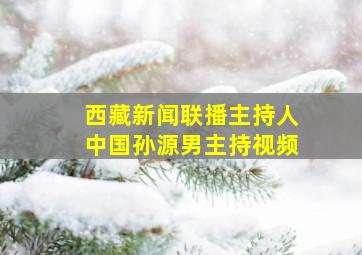 西藏新闻联播主持人中国孙源男主持视频