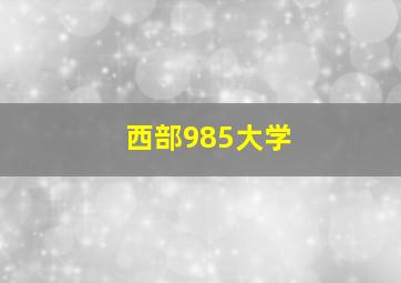 西部985大学