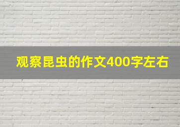 观察昆虫的作文400字左右