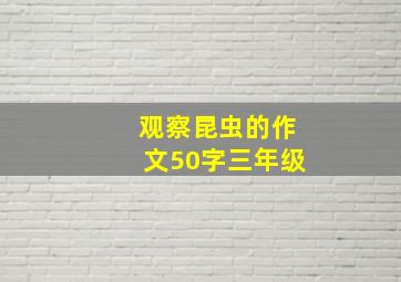 观察昆虫的作文50字三年级