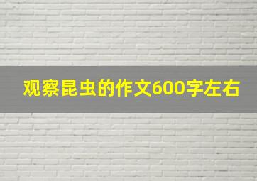 观察昆虫的作文600字左右