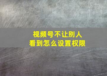 视频号不让别人看到怎么设置权限