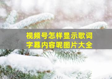 视频号怎样显示歌词字幕内容呢图片大全