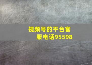 视频号的平台客服电话95598