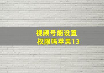 视频号能设置权限吗苹果13