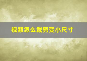 视频怎么裁剪变小尺寸