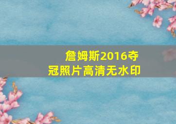 詹姆斯2016夺冠照片高清无水印